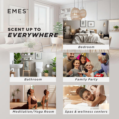 EMES 700
