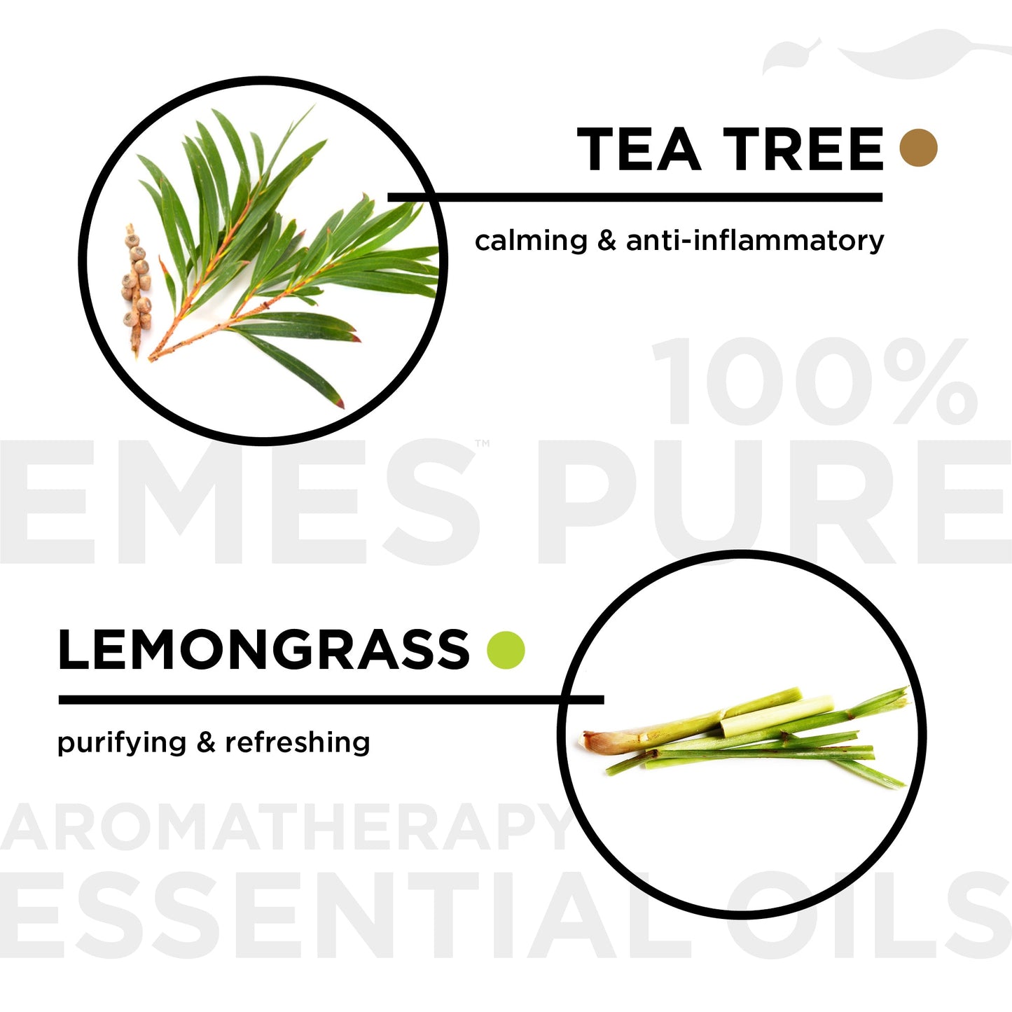 EMES Pure Essential Oils - Tea Tree