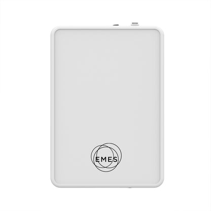 EMES 700