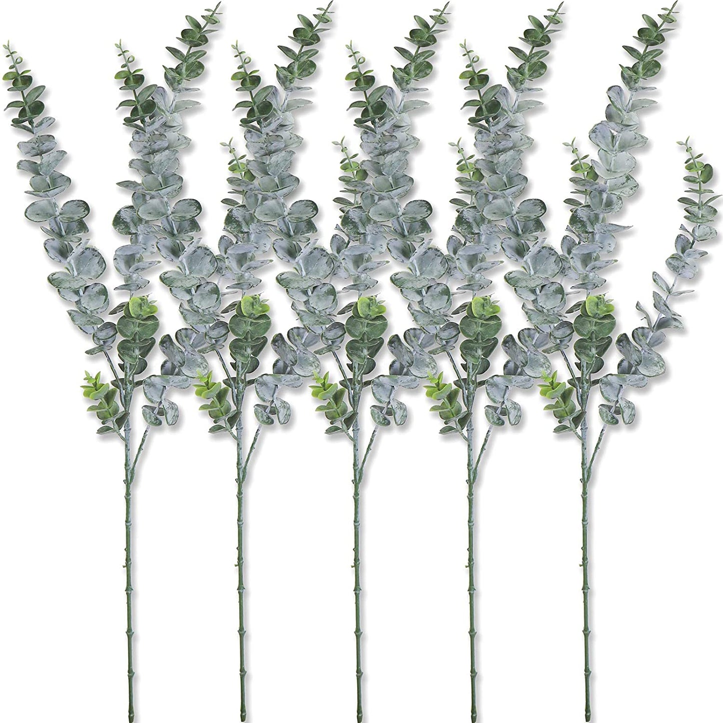 EMES Pure Essential Oils - Eucalyptus
