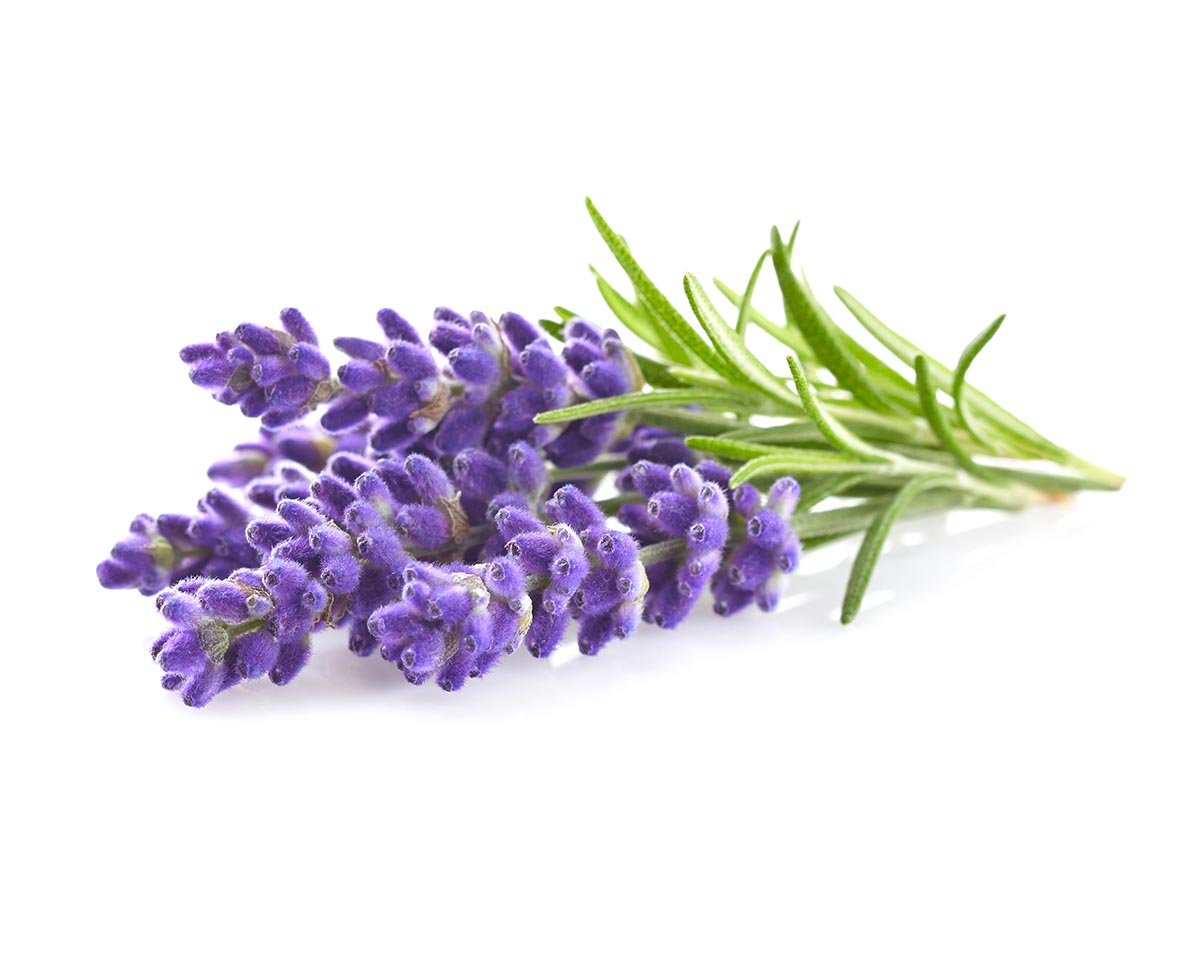 EMES Pure Essential Oils - Lavender