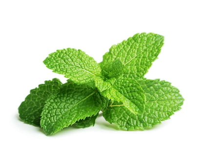 EMES Pure Essential Oils - Peppermint