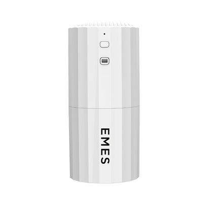 EMES 250