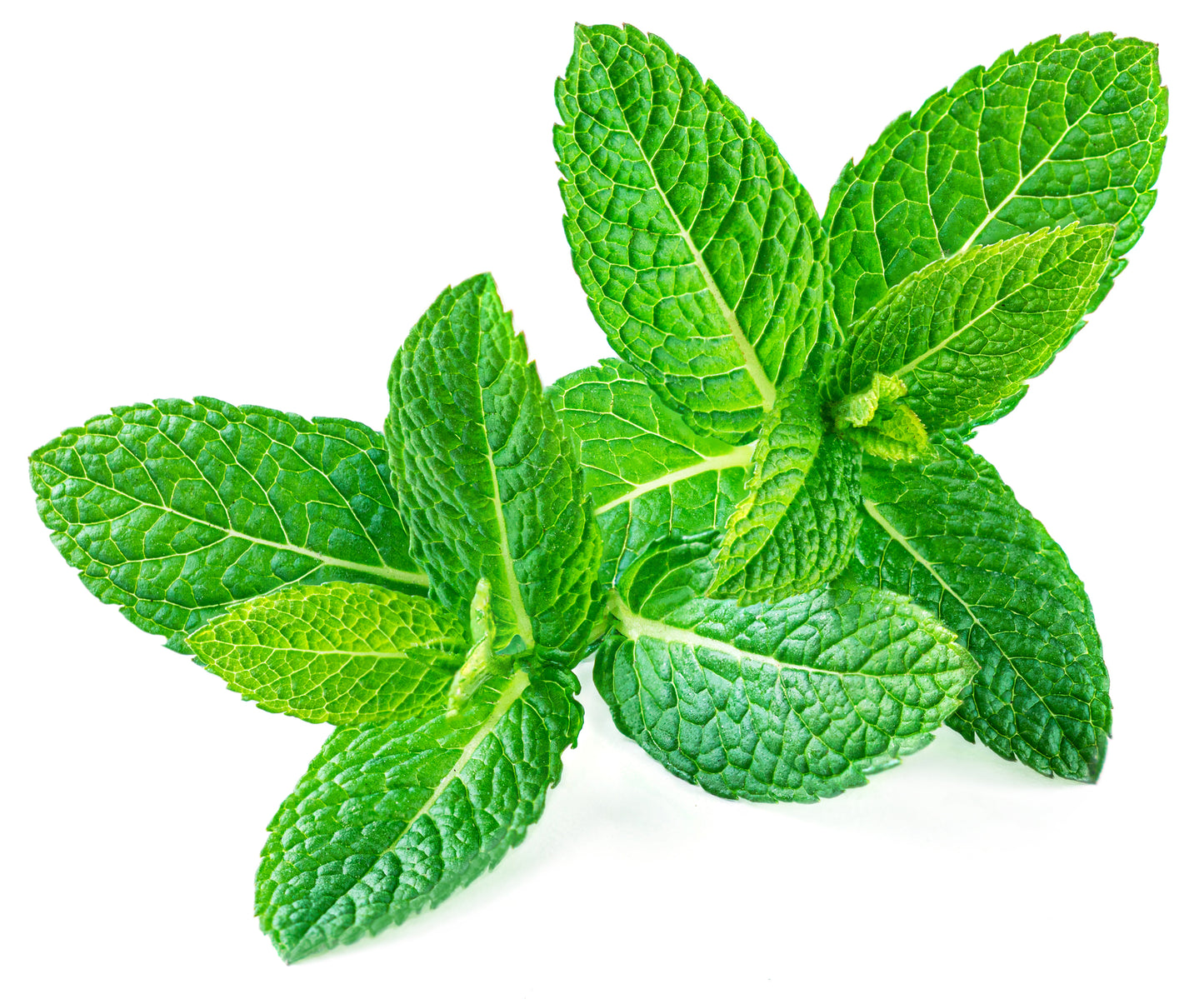 EMES Pure Essential Oils - Peppermint